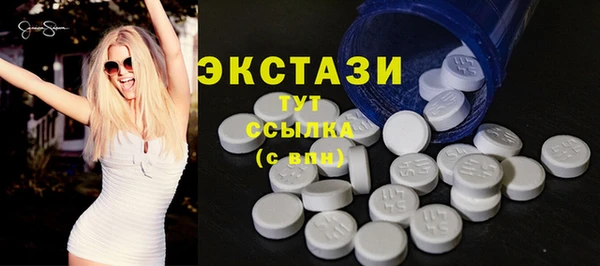 стаф Алзамай