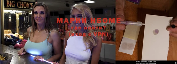 стаф Алзамай