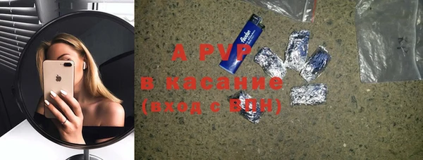 стаф Алзамай