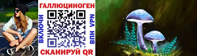 Галлюциногенные грибы MAGIC MUSHROOMS  дарнет шоп  Поронайск 